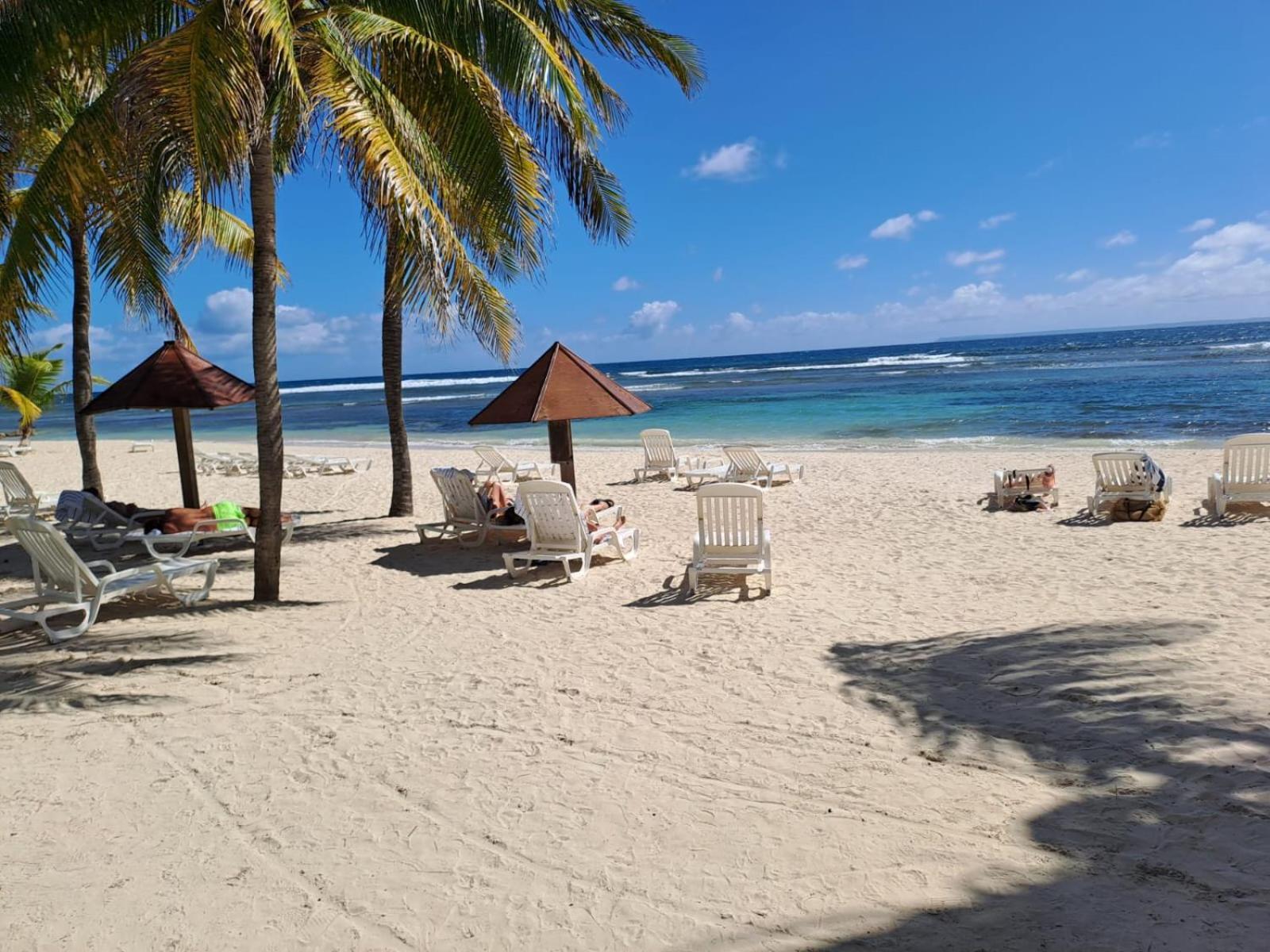Grand Studio Vue Mer Exceptionnelle, Piscines, Plages. Sainte-Anne  Exterior foto