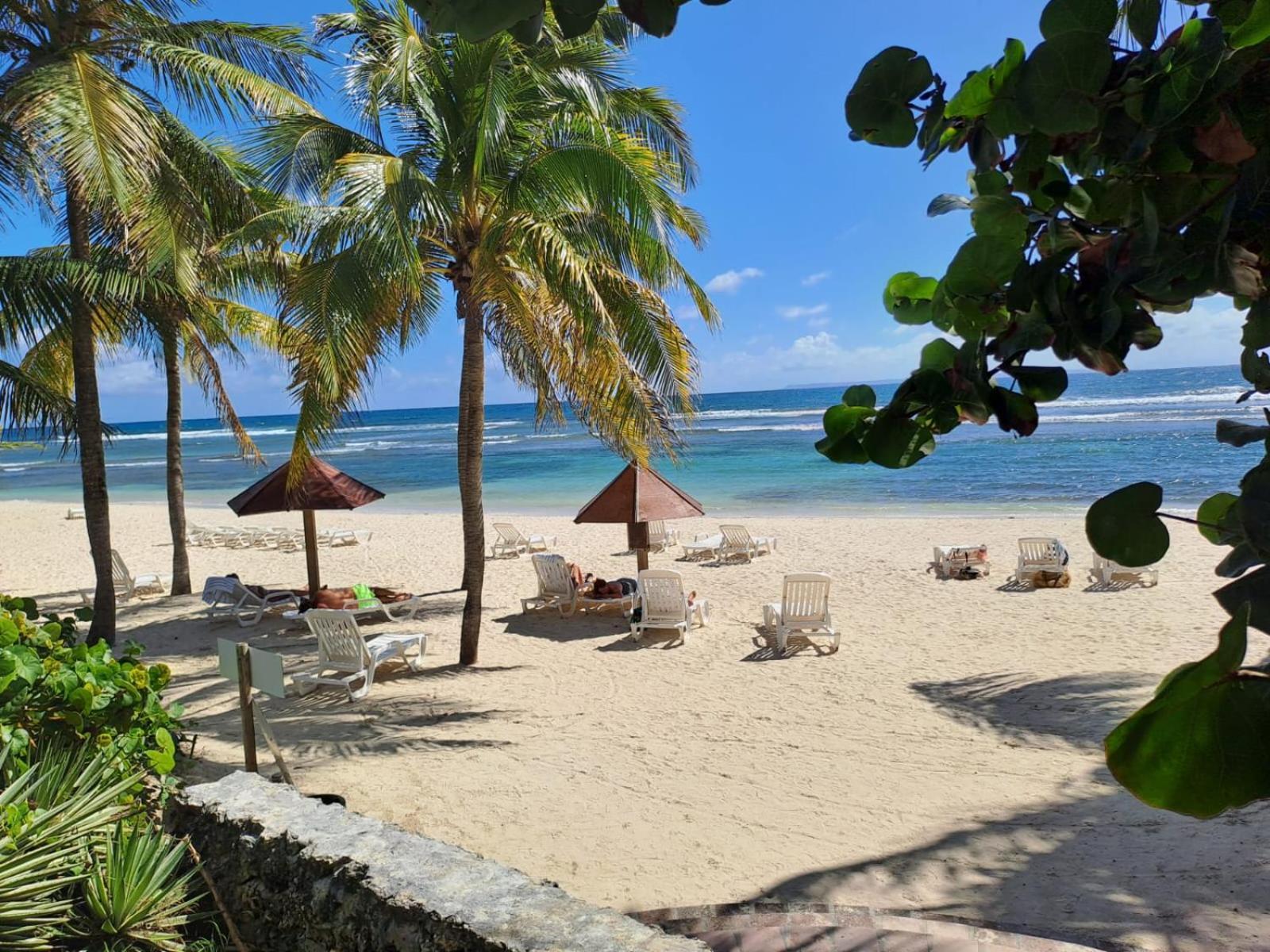 Grand Studio Vue Mer Exceptionnelle, Piscines, Plages. Sainte-Anne  Exterior foto